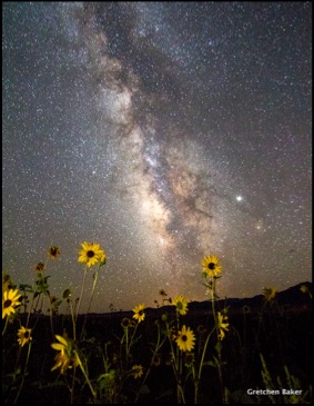 sunflowers and milky way edited12
